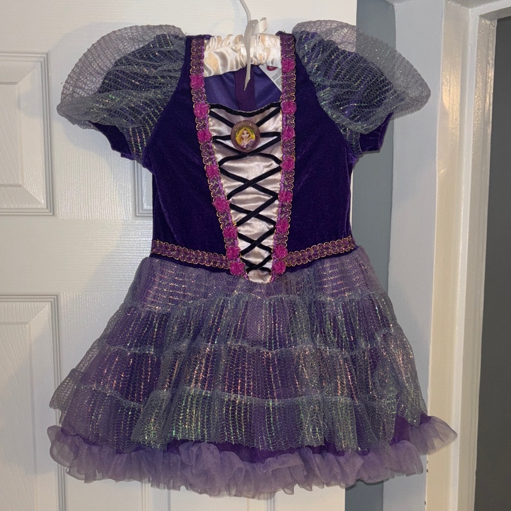 Disney Purple and Pink Princess Costume